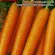 Купить Морковь Нантская 4 в пакетах