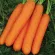 Купить семена Морковь детская Бейби F1