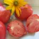 купить семена Томат Орлиное сердце розовый Сибирские томаты