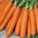 купить семена Морковь Лакомка