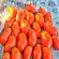купить семена Томат Стерлядь Сибирские томаты