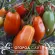 Купить семена Томат Сан марцано нано с носиком