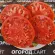Купить семена Томат Минусинский крупный красный Купить семена Томат Минусинский крупный красный