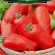 Купить семена Томат Дрова