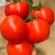 Купить семена Томат Кохава