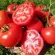 Купить семена томат Красным Красно F1