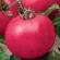 Купить семена Томат Малиновка, Русский огород