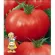 Купить семена Томат Пандароза