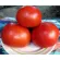 Купить томат Красным Красно