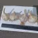Купить Чеснок озимый Богатырь