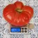 Купить семена Томат Гигант Бельгии