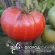Купить семена Томат Сызранский