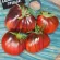 Купить семена Томат Синяя Груша (Blue Pear)