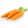 Купить семена Морковь Каротель