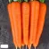 Купить семена Морковь Лагуна в пакетах