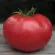 Купить семена Томат Кибо (Зерси) F1 (Китано) (розовые томаты)