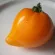 Купить Томат Оранжевое сердце (Лискин нос)