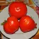 Купить Томат Бычье сердце минусинское красное