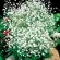 Купить семена Гипсофила метельчатая Снежные хлопья махровая многолетняя